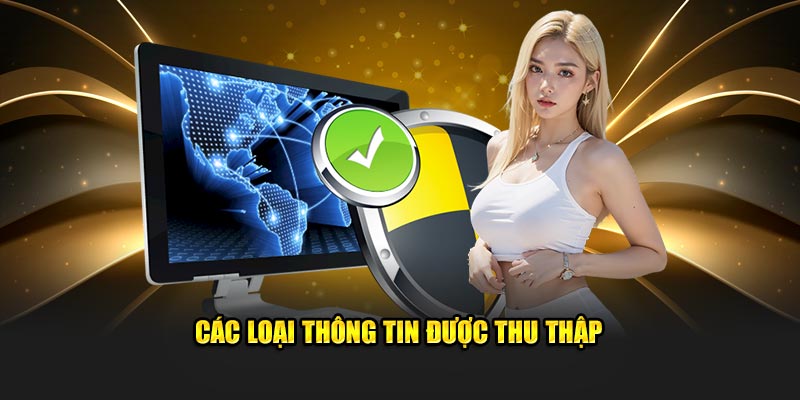 Tổng hợp loại thông tin được hệ thống thu thập 